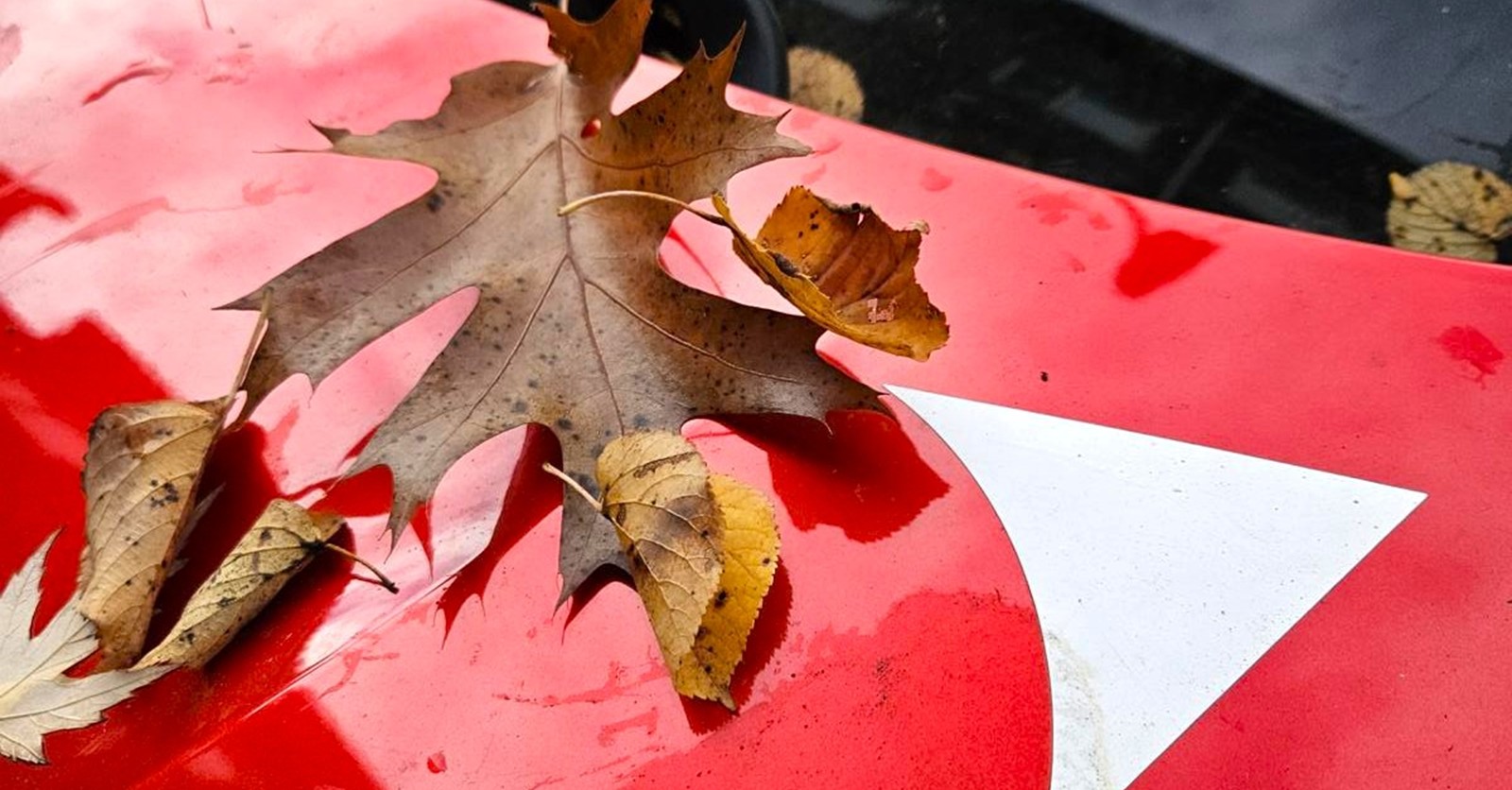 stadtmobil hannover herbst FB